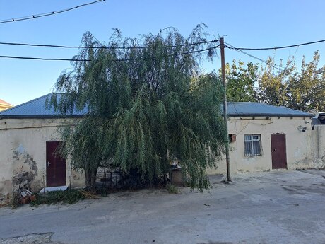 Həyət evi, Nizami r.