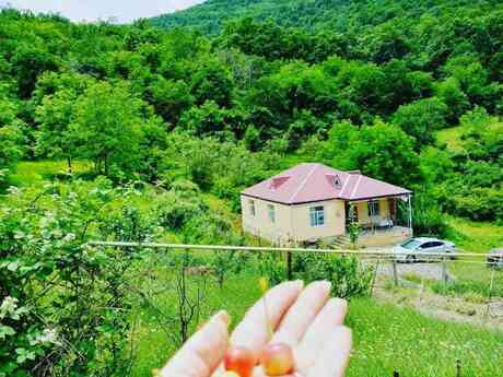 Bağ evi kirayə verilir, Göygöl r. Bağ evi kirayə verilir, Göygöl r.