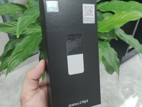 Samsung Galaxy Z Flip 5 Gray 256GB/8GB