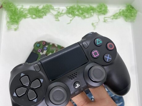 PS4 pultları 