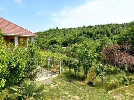Bağ evi kirayə verilir, Lerik r.