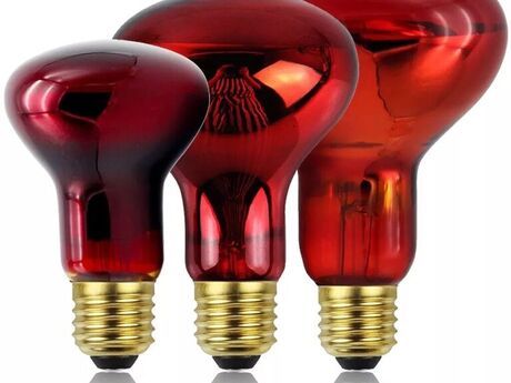 Qızdırıcı infraqırmızı lampa