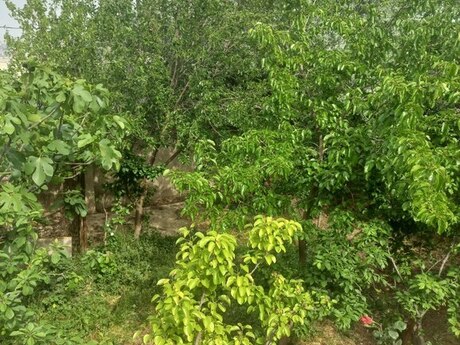 Sulutəpədə 3 otaqlı həyət evi satılır, 100 m², 75 000 AZN, şəkil 4 / 12