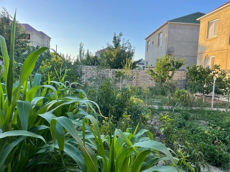Novxanıda 5 otaqlı həyət evi satılır, 180 m², 158 000 AZN, şəkil 5 / 12
