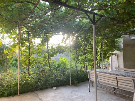 Novxanıda 5 otaqlı həyət evi satılır, 180 m², 158 000 AZN, şəkil 3 / 12