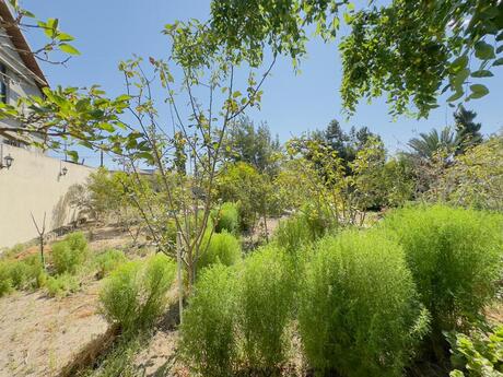 11-room house for sale in Şüvəlan, 320 m², 590 000 AZN, photo 5 / 12