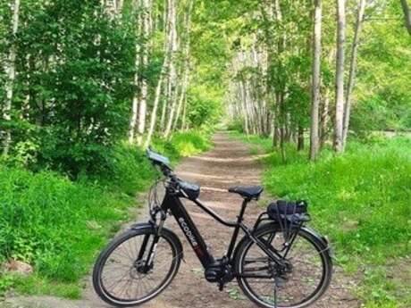 Elektrik velosiped "Ecobike MX300"
