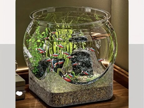 Akvarium 