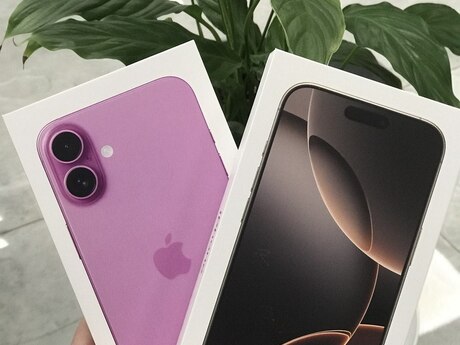 Apple iPhone 16 Plus Pink 256GB/8GB