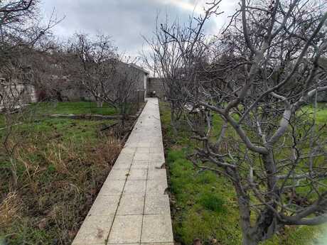 7 otaq · 250 m² · 1/1 mərtəbə, Buzovna