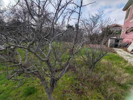 Buzovnada 7 otaqlı həyət evi satılır, 250 m², 395 000 AZN, şəkil 2 / 12