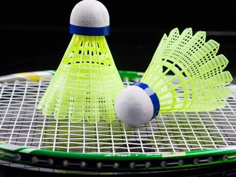 Badminton raketkası "FOX"