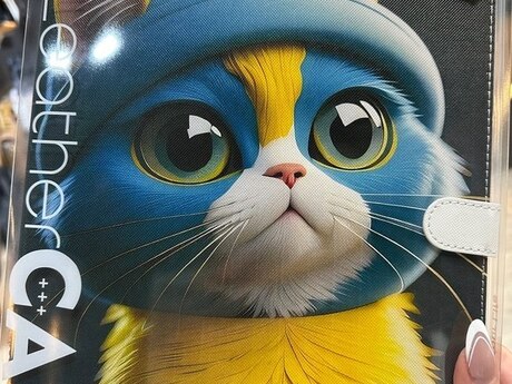 iPad case "Pişik"