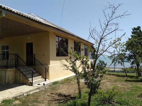 Bağ evi kirayə verilir, Lənkəran ş. Bağ evi kirayə verilir, Lənkəran ş.