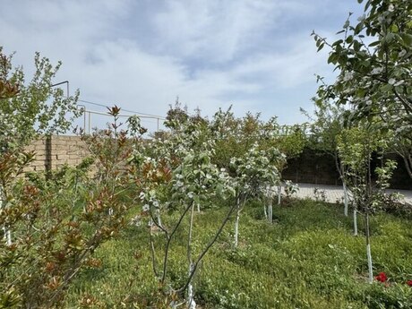 Zirədə 3 otaqlı həyət evi satılır, 600 m², 110 000 AZN, şəkil 3 / 12