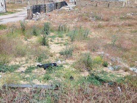 2.5 sot torpaq sahəsi, Saray qəs.