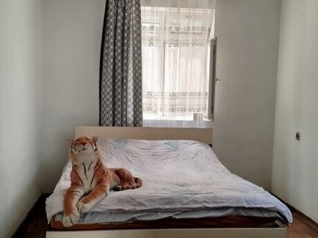 Şağanda 3 otaqlı həyət evi satılır, 84,5 m², 52 000 AZN, şəkil 3 / 10