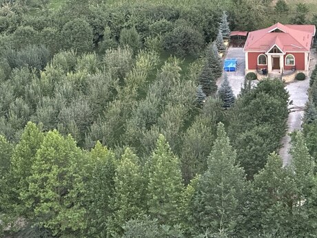 Bağ evi kirayə verilir, Qusar r.