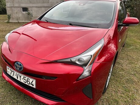 "Toyota Prius" icarəsi