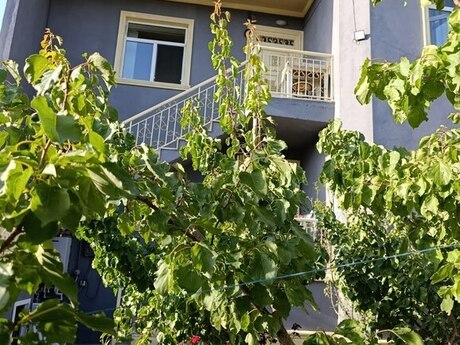 Yeni Ramanada 6 otaqlı həyət evi satılır, 220 m², 125 000 AZN, şəkil 2 / 12