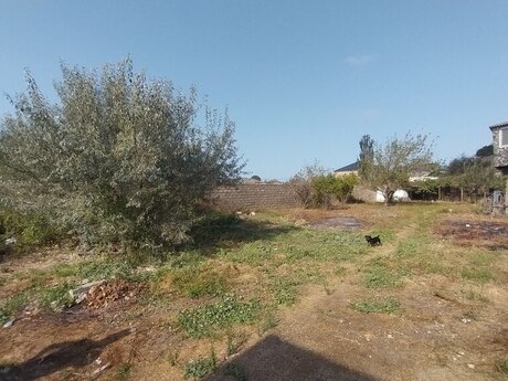 Novxanıda 4 otaqlı həyət evi satılır, 200 m², 118 000 AZN, şəkil 3 / 12