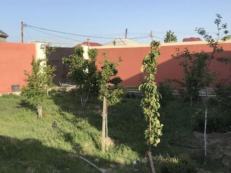 Şağanda 4 otaqlı həyət evi satılır, 135 m², 142 000 AZN, şəkil 5 / 12