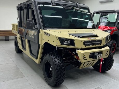 BUGGY (UTV)Baqqi