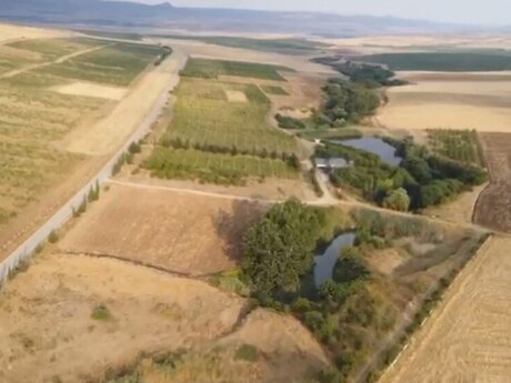 4000 sot torpaq sahəsi, Şamaxı r.