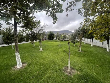 5-room house for sale in Novxanı, 120 m², 460 000 AZN, photo 2 / 12