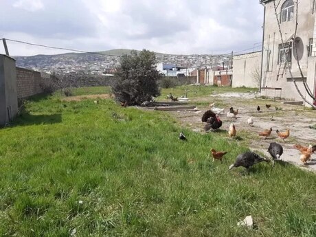 2-room house for rent in Sulutəpə, 25 m², 150 AZN/mo, photo 4 / 12