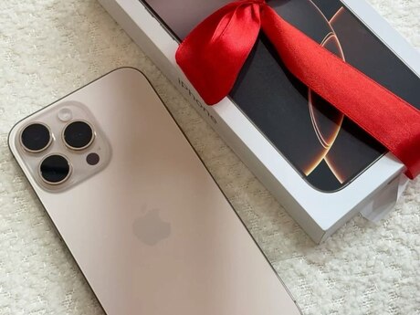 Apple iPhone 16 Pro Max Desert Titanium 256GB/8GB