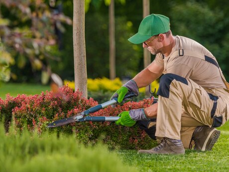 Bağban tələb olunur
