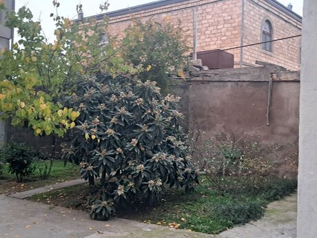 Продаётся 7-комнатный дом, Nizami, 450 м², 680 000 AZN, фото 4 / 12