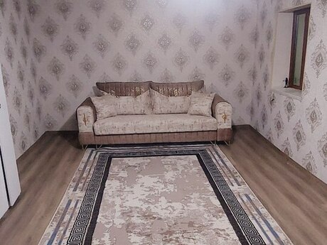 2 otaq · 55 m²