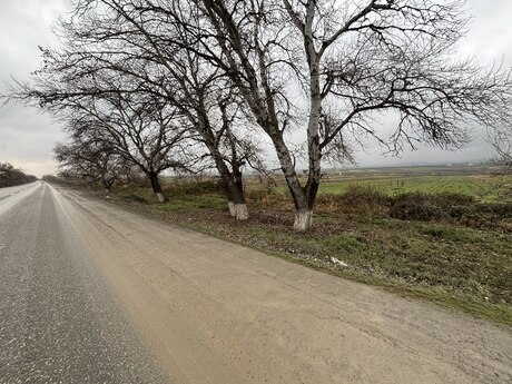 304 sot torpaq sahəsi, Şabran r.