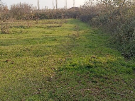 12 sot torpaq sahəsi, Şabran r.