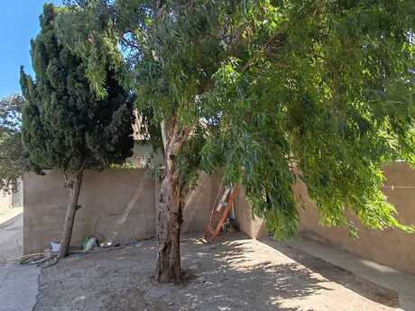 4-room house for sale in Buzovna, 200 m², 220 000 AZN, photo 5 / 12
