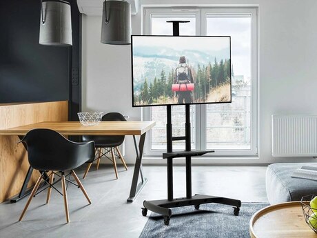 TV stendlər