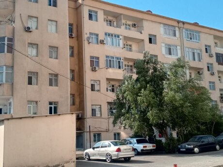 2 otaq · 36 m²