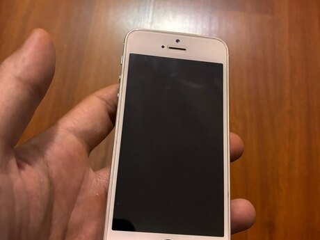 Apple iPhone SE Silver 64GB