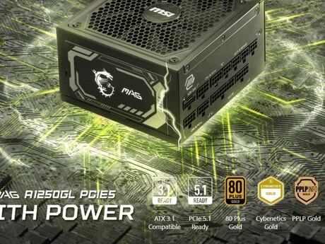 PSU MSI MAG A1250GL PCI5, 80 + Gold, Fully Modular