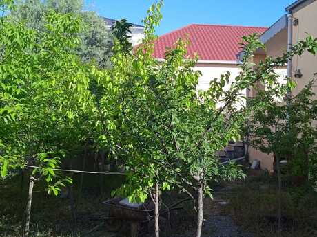 Mərdəkanda 3 otaqlı həyət evi kirayə verilir, 140 m², 600 AZN/ay, şəkil 2 / 12