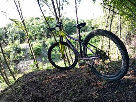 Velosiped 