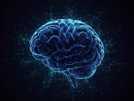 Süni intellekt proqramlarının hazırlanması