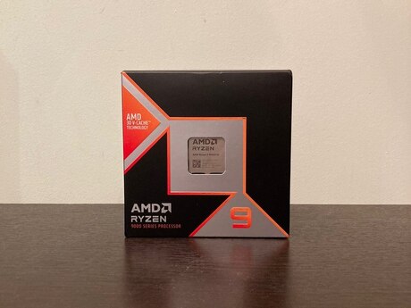 AMD Ryzen 9 9900X3D