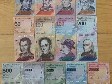 Venesuela bolivarı