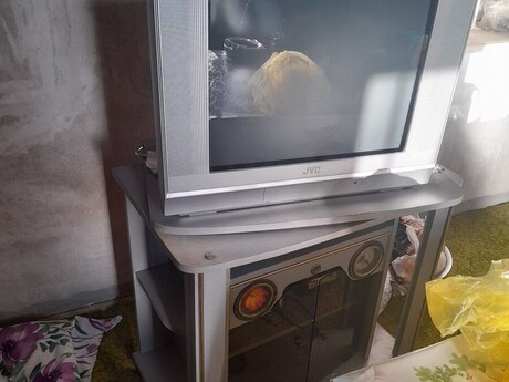 Televizor Televizor