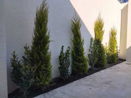 Şağanda 3 otaqlı həyət evi satılır, 85 m², 99 000 AZN, şəkil 2 / 9
