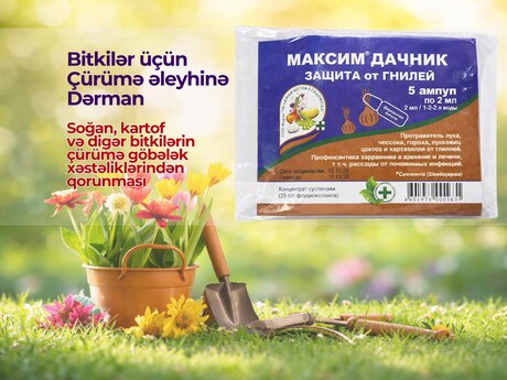 Bitkilər üçün çürümə əleyhinə dərman 