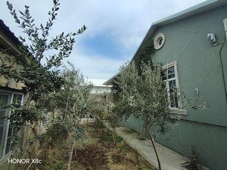 Nardaranda 3 otaqlı həyət evi satılır, 120 m², 240 000 AZN, şəkil 4 / 12